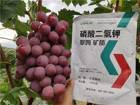 進口水溶肥，拉姆拉，翠姆