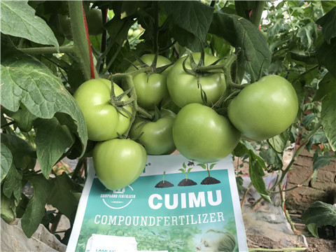 葉面肥，磷酸二氫鉀，微生物菌劑，翠姆，拉姆拉