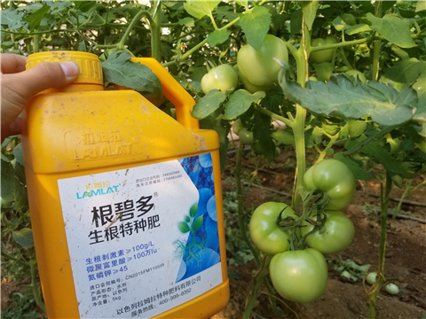 葉面肥，磷酸二氫鉀，微生物菌劑，翠姆，拉姆拉