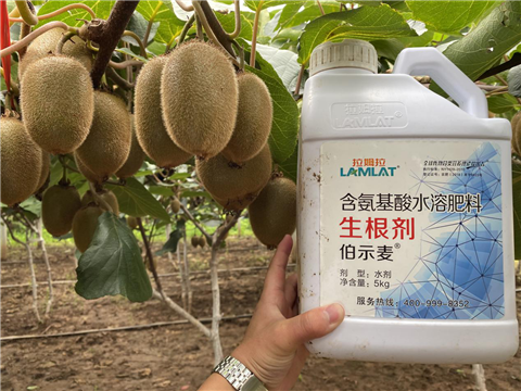 水溶肥，生根劑，微生物菌劑，伯示麥，拉姆拉