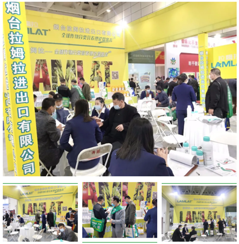 水溶肥，拉姆拉，翠姆