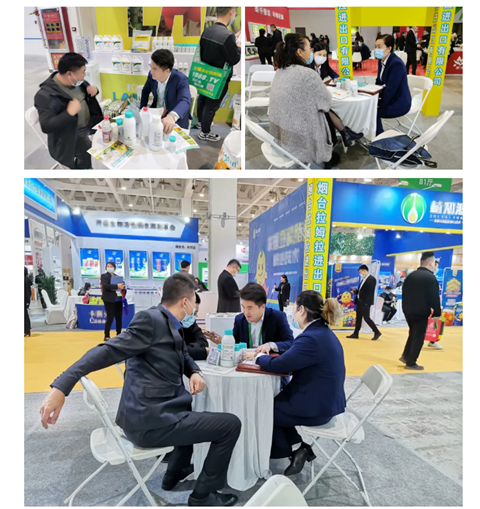 水溶肥，拉姆拉，翠姆