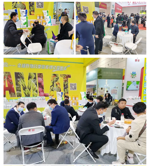 水溶肥，拉姆拉，翠姆