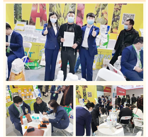 水溶肥，拉姆拉，翠姆