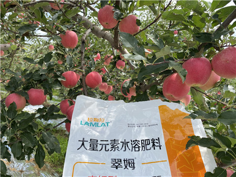 水溶肥，大量元素水溶肥，翠姆，拉姆拉