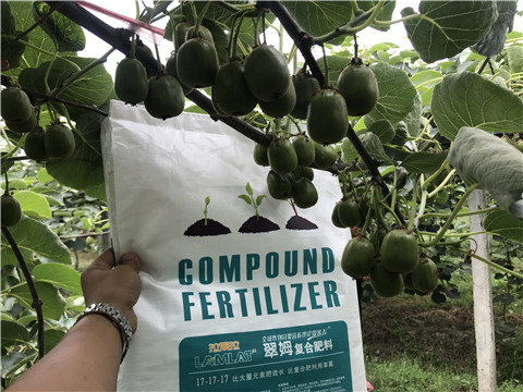 顆粒水溶肥，拉姆拉，翠姆