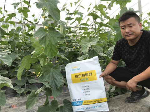 水溶肥，拉姆拉