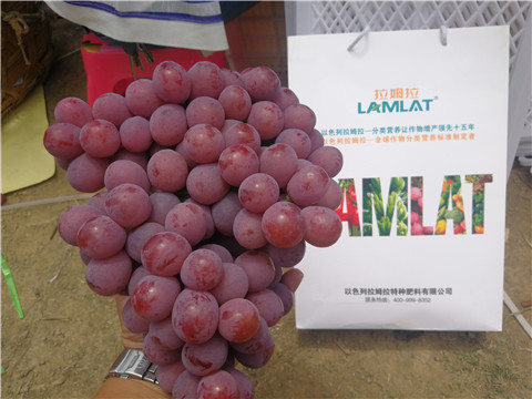 葉面肥，磷酸二氫鉀，鈣肥，翠姆，拉姆拉