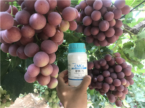 葉面肥，磷酸二氫鉀，鈣肥，翠姆，拉姆拉