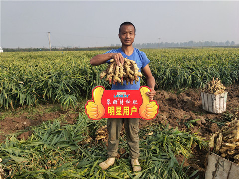 進(jìn)口水溶肥，拉姆拉，翠姆