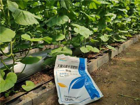 大量元素水溶肥，拉姆拉，翠姆