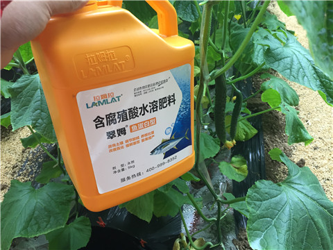 滴灌肥，拉姆拉，翠姆