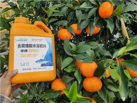 滴灌肥，拉姆拉，翠姆