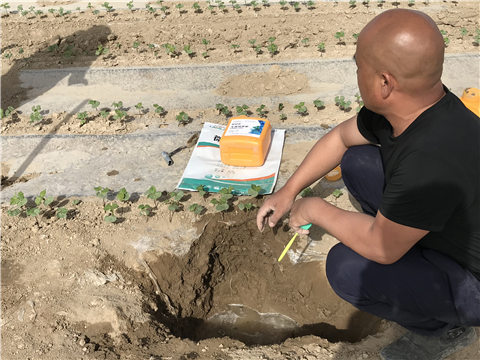 水溶肥，拉姆拉，翠姆