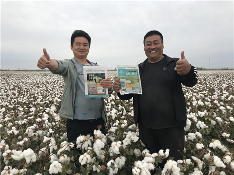 棉花，水溶肥，拉姆拉，翠姆