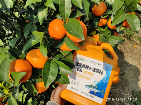 水溶肥，拉姆拉，翠姆