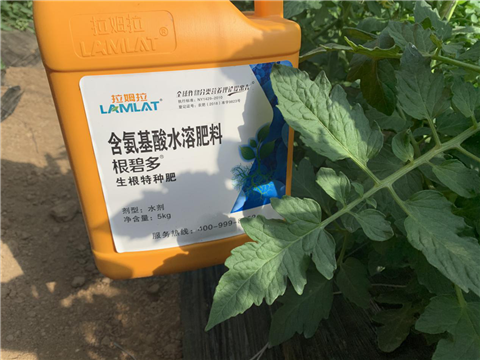 水溶肥，拉姆拉，翠姆