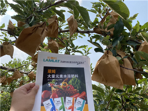 大量元素水溶肥，拉姆拉，翠姆