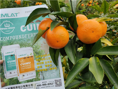 顆粒水溶肥，拉姆拉，翠姆