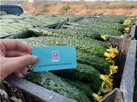 水溶肥，拉姆拉，伯示麥