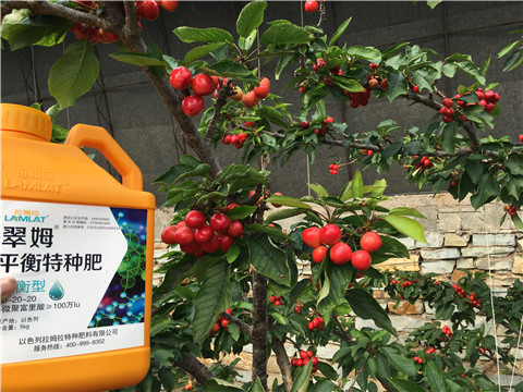 水溶肥，拉姆拉，翠姆