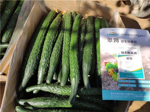 微生物菌劑，拉姆拉，翠姆