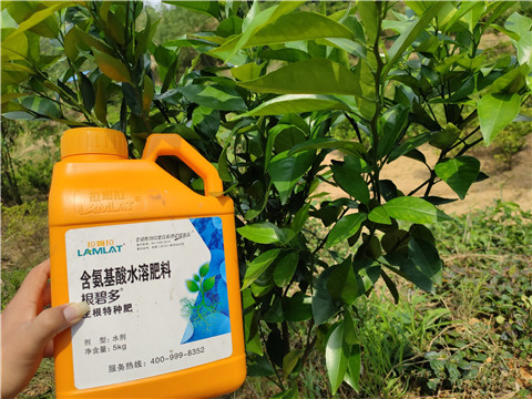 沖施肥，拉姆拉，翠姆