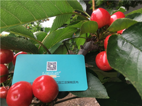 大量元素水溶肥，拉姆拉，翠姆