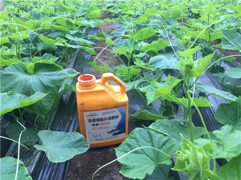 作物施肥管理，拉姆拉，翠姆