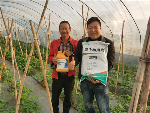 水溶肥，拉姆拉，翠姆