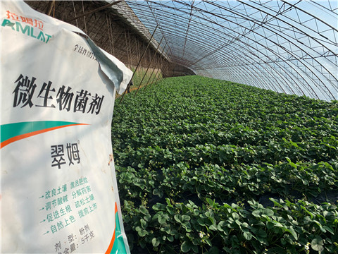 微生物菌劑，拉姆拉，翠姆