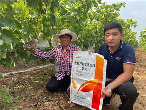 大量元素水溶肥，拉姆拉，翠姆