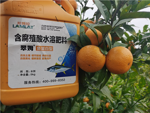 水溶肥，拉姆拉，翠姆