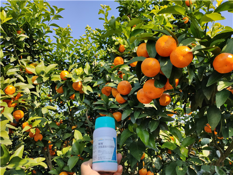 葉面肥，拉姆拉，翠姆