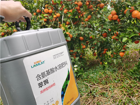 水溶肥，拉姆拉，翠姆