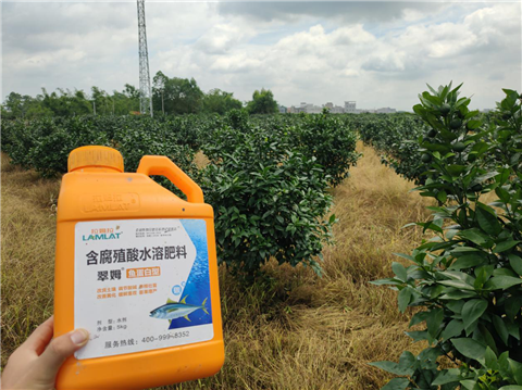 水溶肥，拉姆拉，翠姆