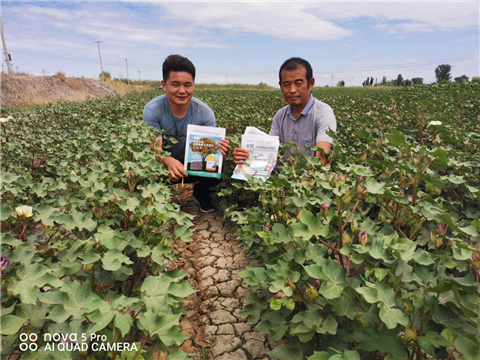 水溶肥，拉姆拉，翠姆