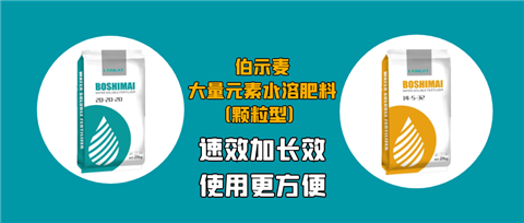 顆粒肥，拉姆拉，翠姆