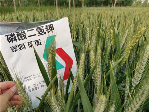 葉面肥，水溶肥，磷酸二氫鉀