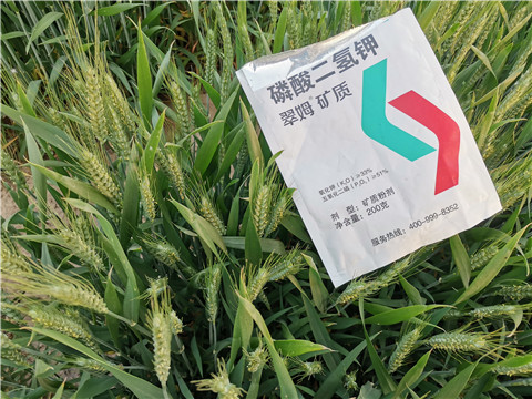 水溶肥，拉姆拉，翠姆