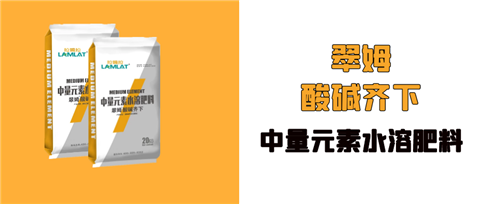 水溶肥，拉姆拉，翠姆