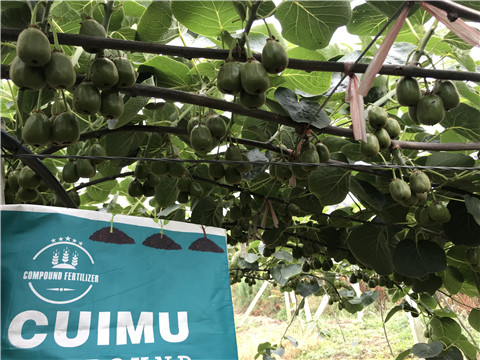 顆粒復(fù)合肥，拉姆拉，翠姆