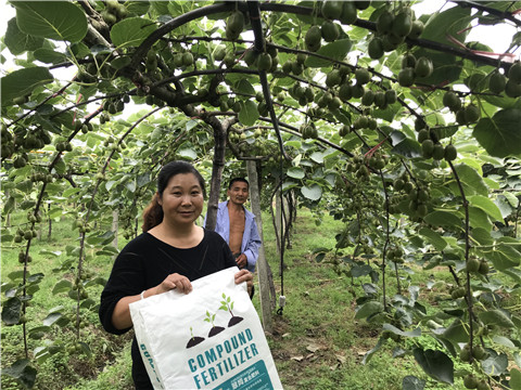 顆粒復(fù)合肥，拉姆拉，翠姆