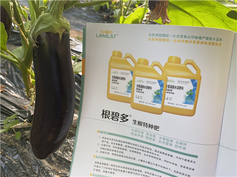 水溶肥，拉姆拉，翠姆