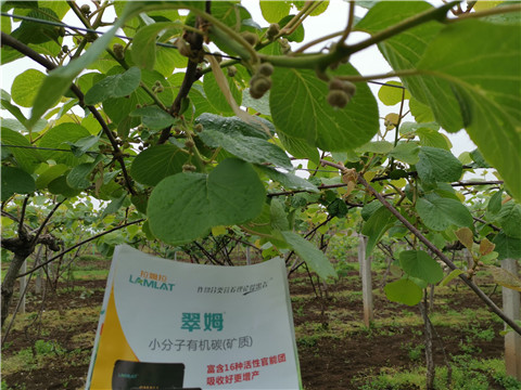 小分子有機(jī)碳，拉姆拉，翠姆