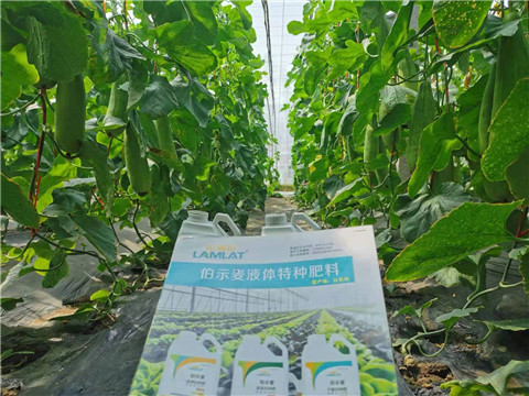 水溶肥，拉姆拉，翠姆