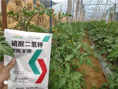 磷酸二氫鉀，拉姆拉，翠姆