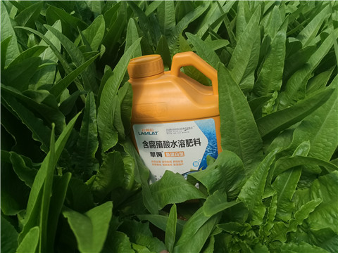 沖施肥，拉姆拉，翠姆