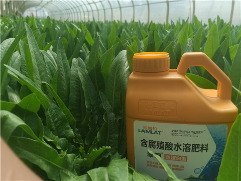 沖施肥，拉姆拉，翠姆