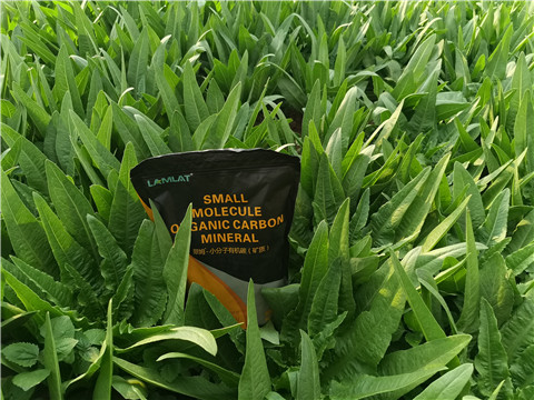 礦源黃腐酸鉀，拉姆拉，翠姆